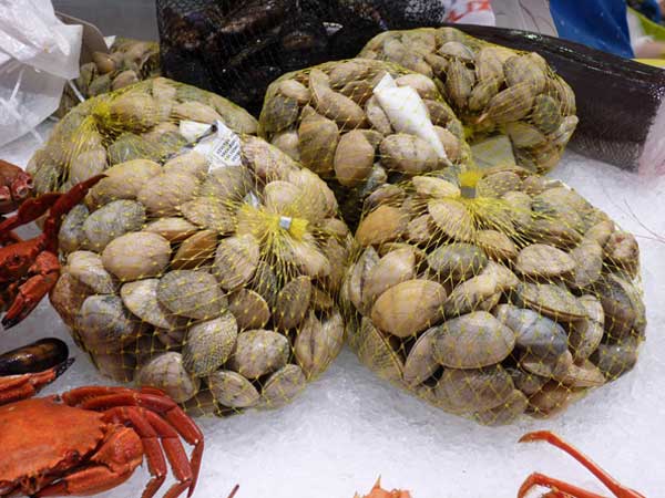 almejas