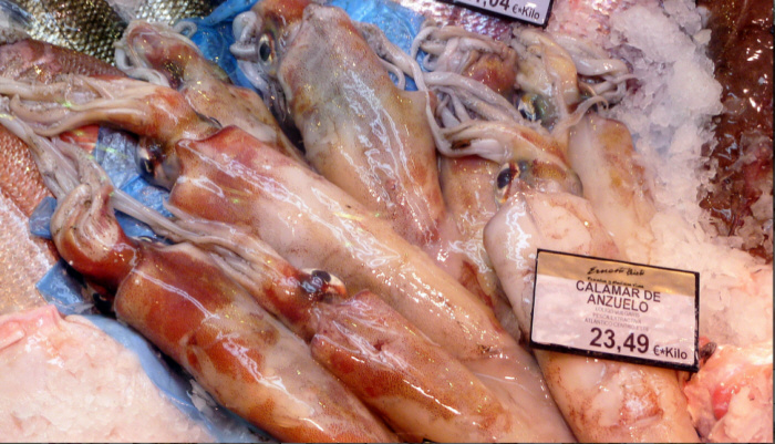 calamares