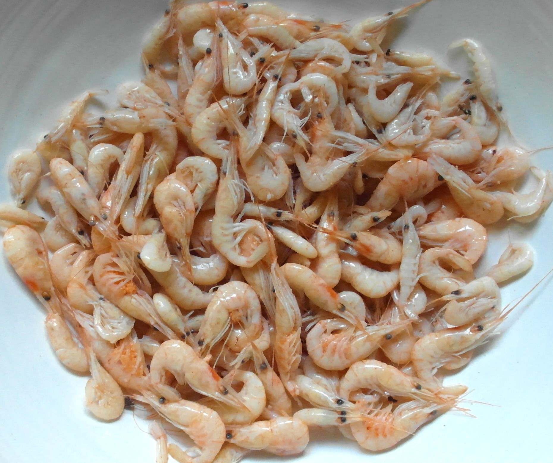 camarones
