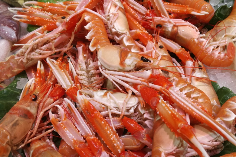 cigalas