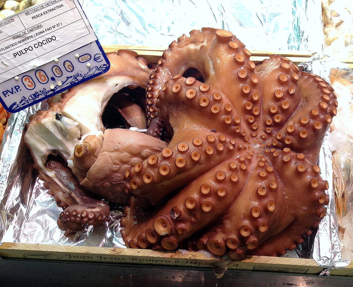 pulpo